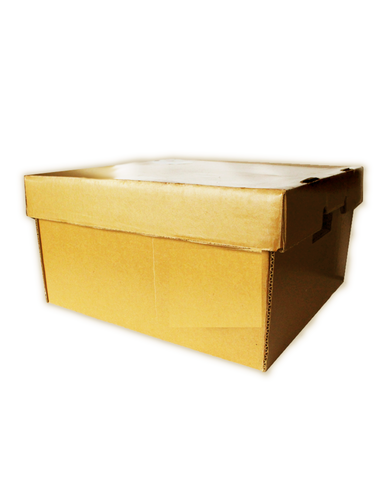 BEEF BULK BOX